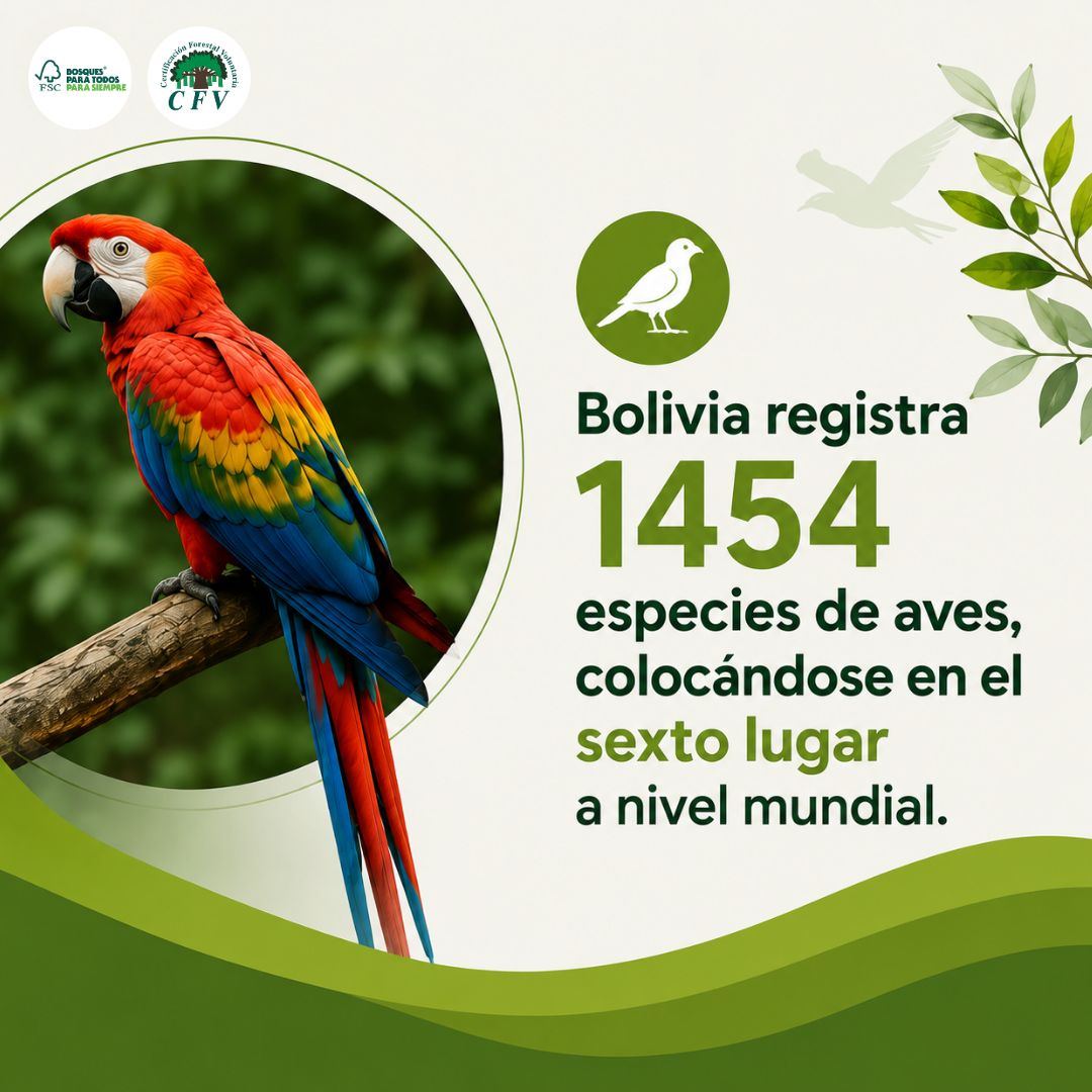 Bolivia Diversidad2