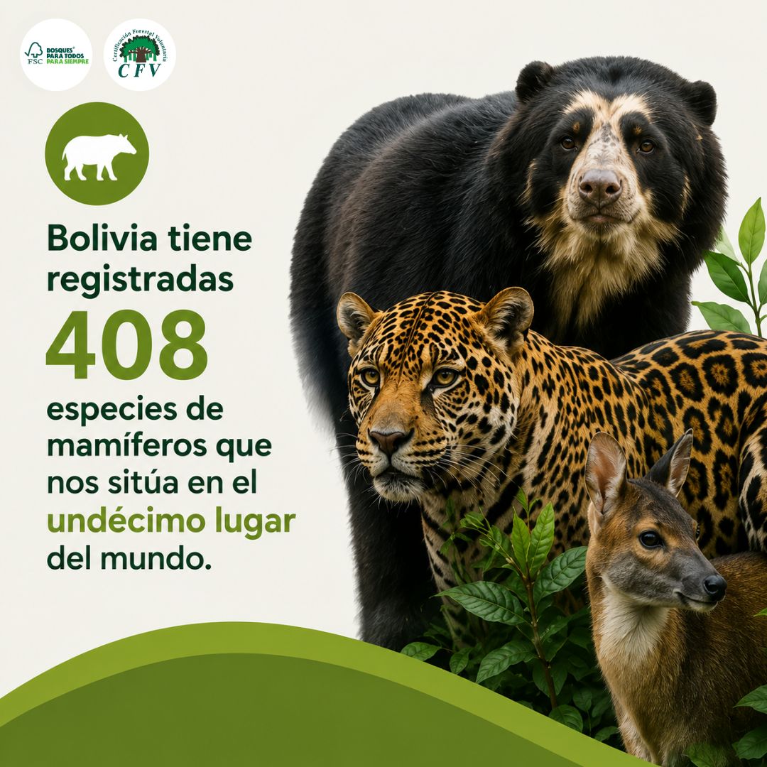 Bolivia Diversidad3