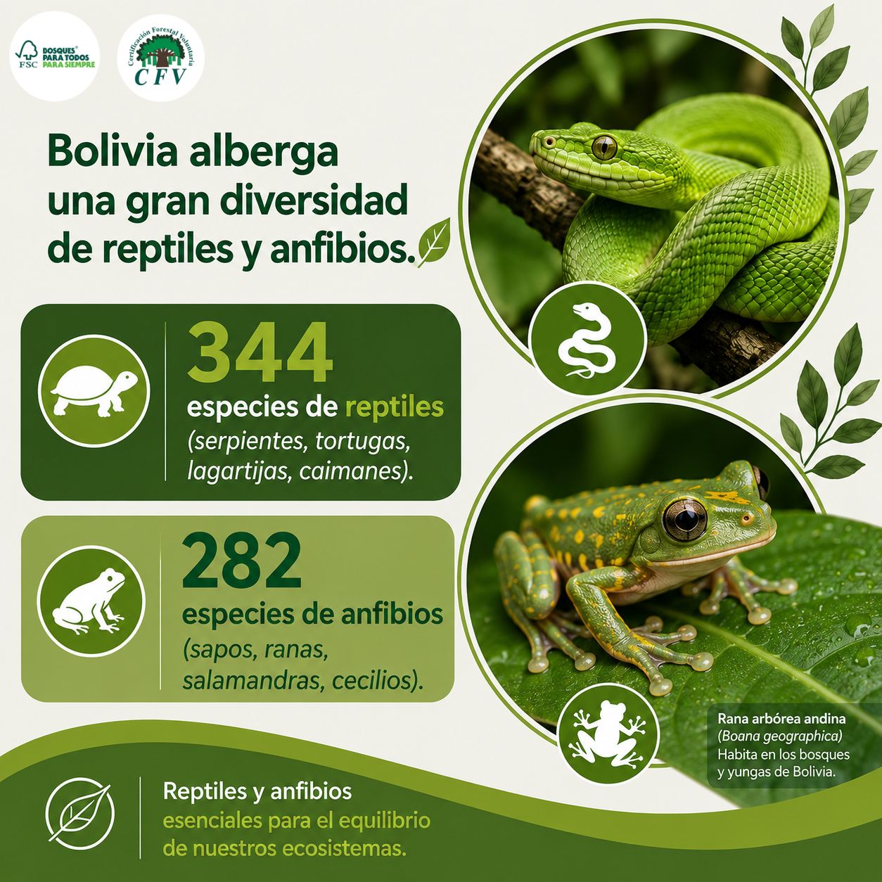 Bolivia Diversidad5