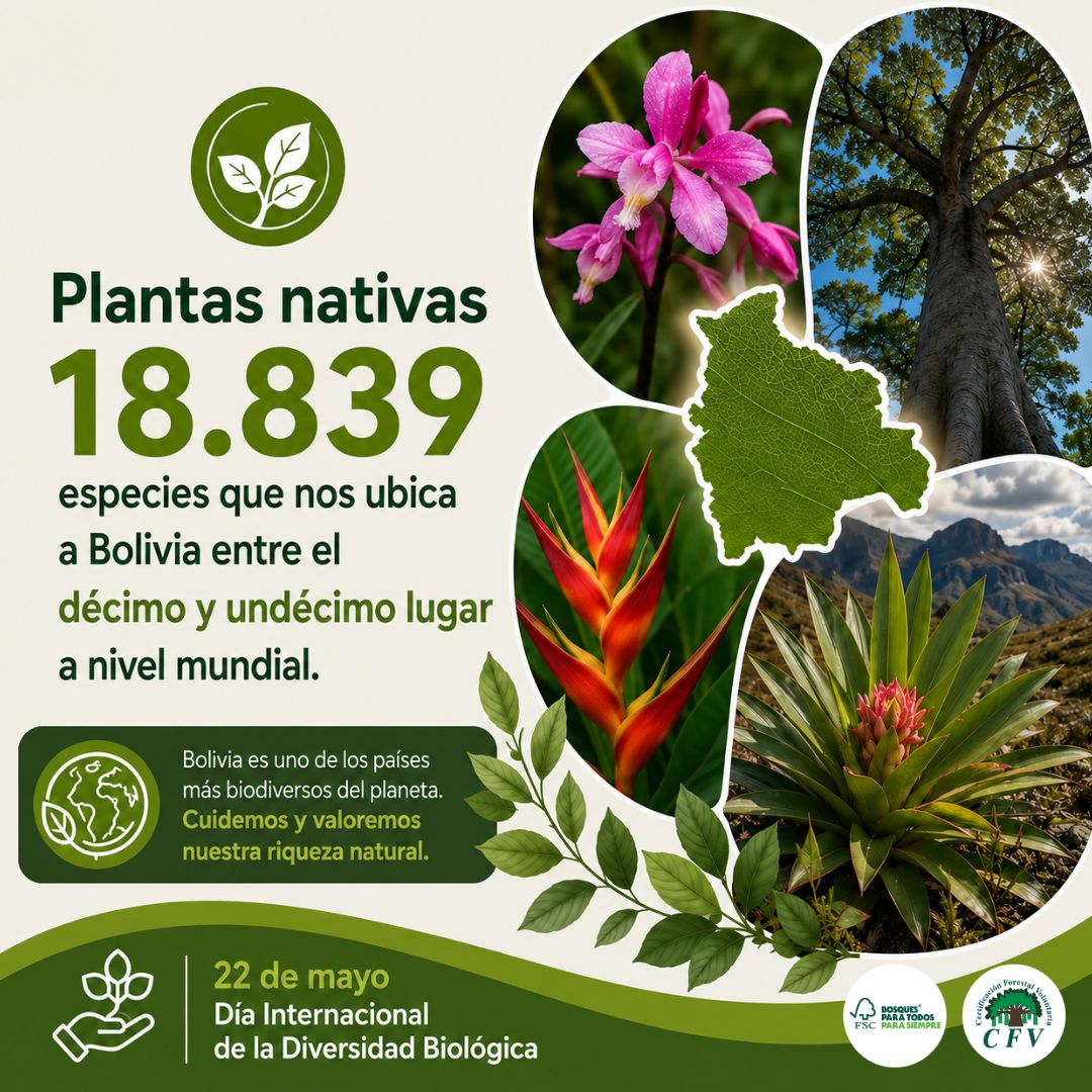 Bolivia Diversidad6