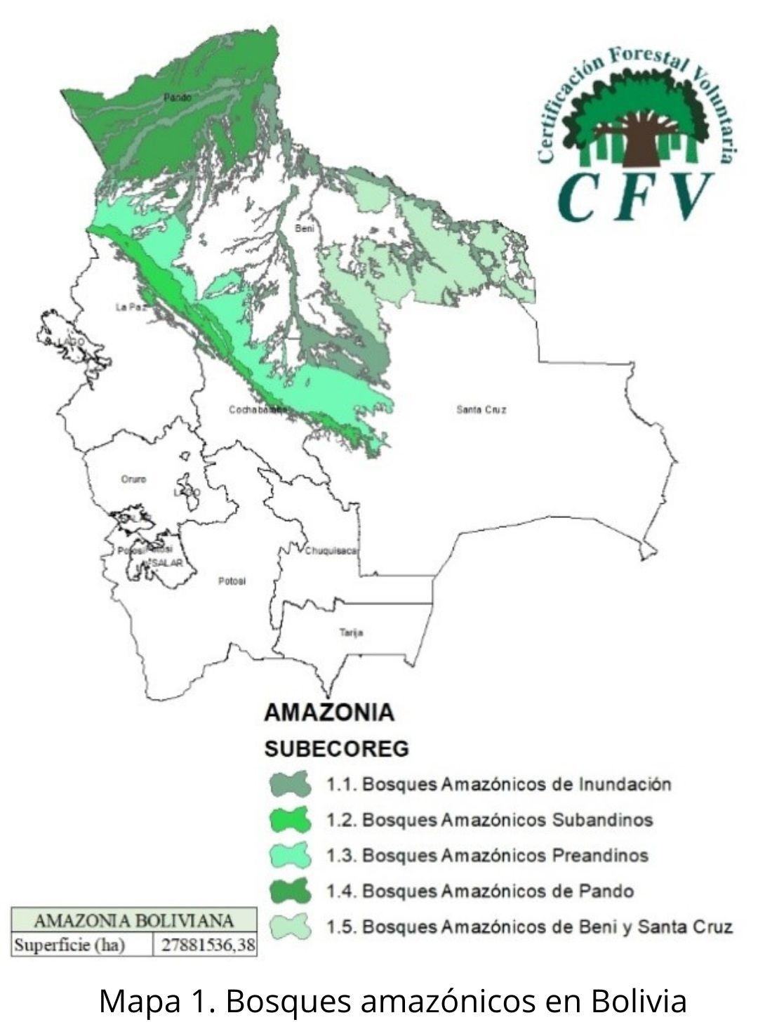 Mapa web
