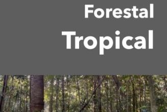 Revista Forestal Tropical Volumen 4.jpeg
