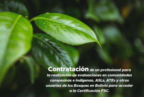 Consultoría 
