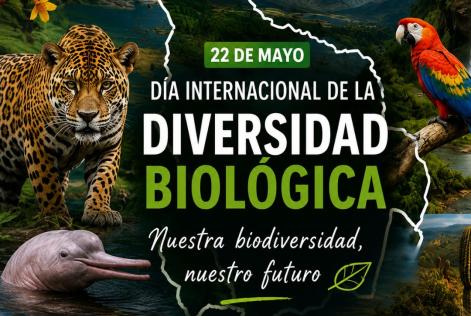 FSC día de la biodiversidad 1.jpeg