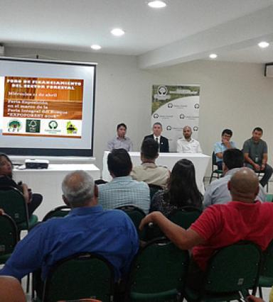 Foro financiamiento forestal Foro financiamiento forestal