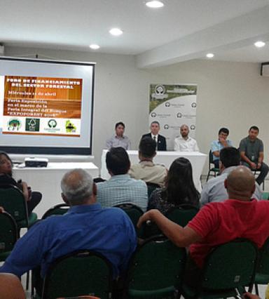 Foro financiamiento forestal